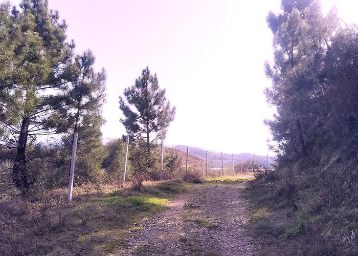 Shtodri Bujtine-mountain Escape, Fresh Air & Relax * Shkodër