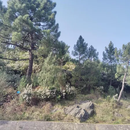 Cozy Lakefront - Myselim Alpehytte Shkodër