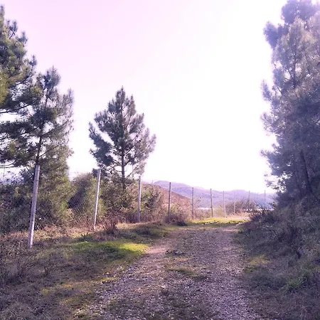 Cozy Lakefront - Myselim * Shkodër
